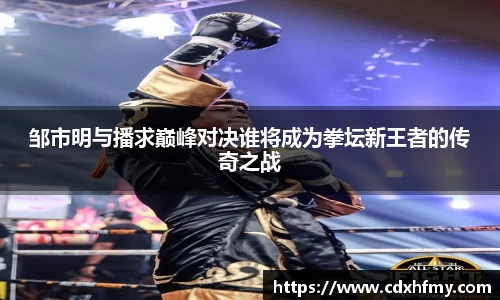 邹市明与播求巅峰对决谁将成为拳坛新王者的传奇之战